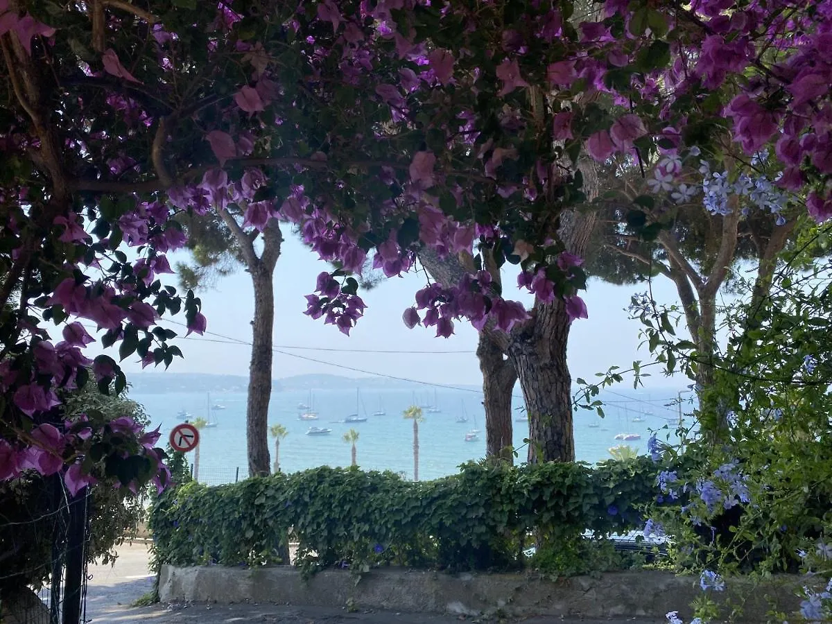 Apartment Bandol : Tres Bel Appartement Avec Grande Terrasse Et Vue Exceptionnelle Sur Mer