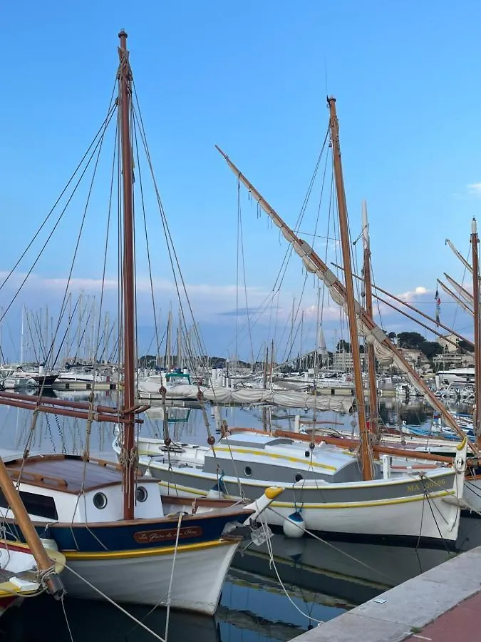Apartment Bandol : Tres Bel Appartement Avec Grande Terrasse Et Vue Exceptionnelle Sur Mer